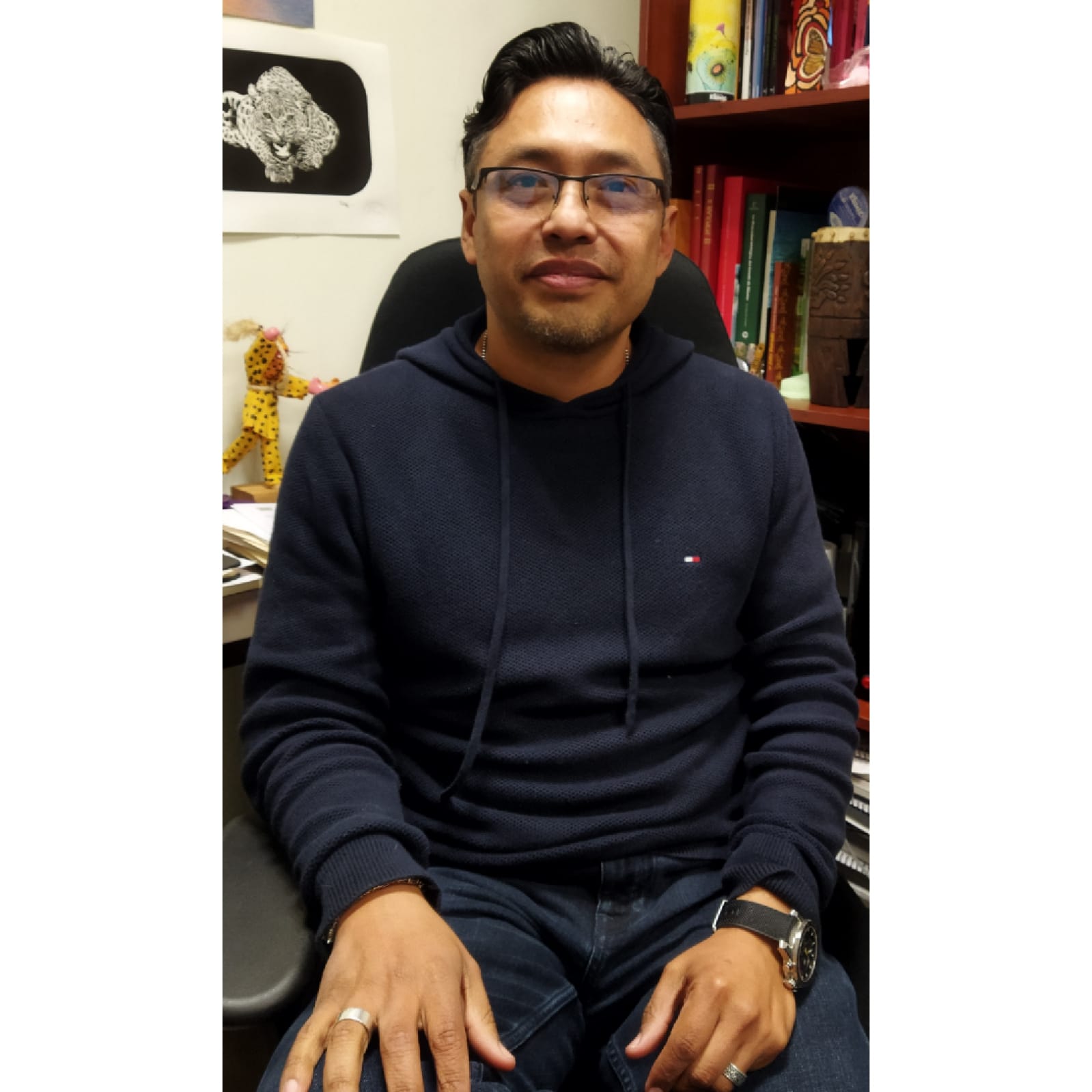 Dr. David Figueroa Serrano